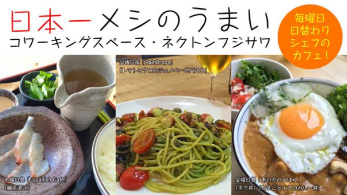 NEKTON FUJISAWA(一号店)