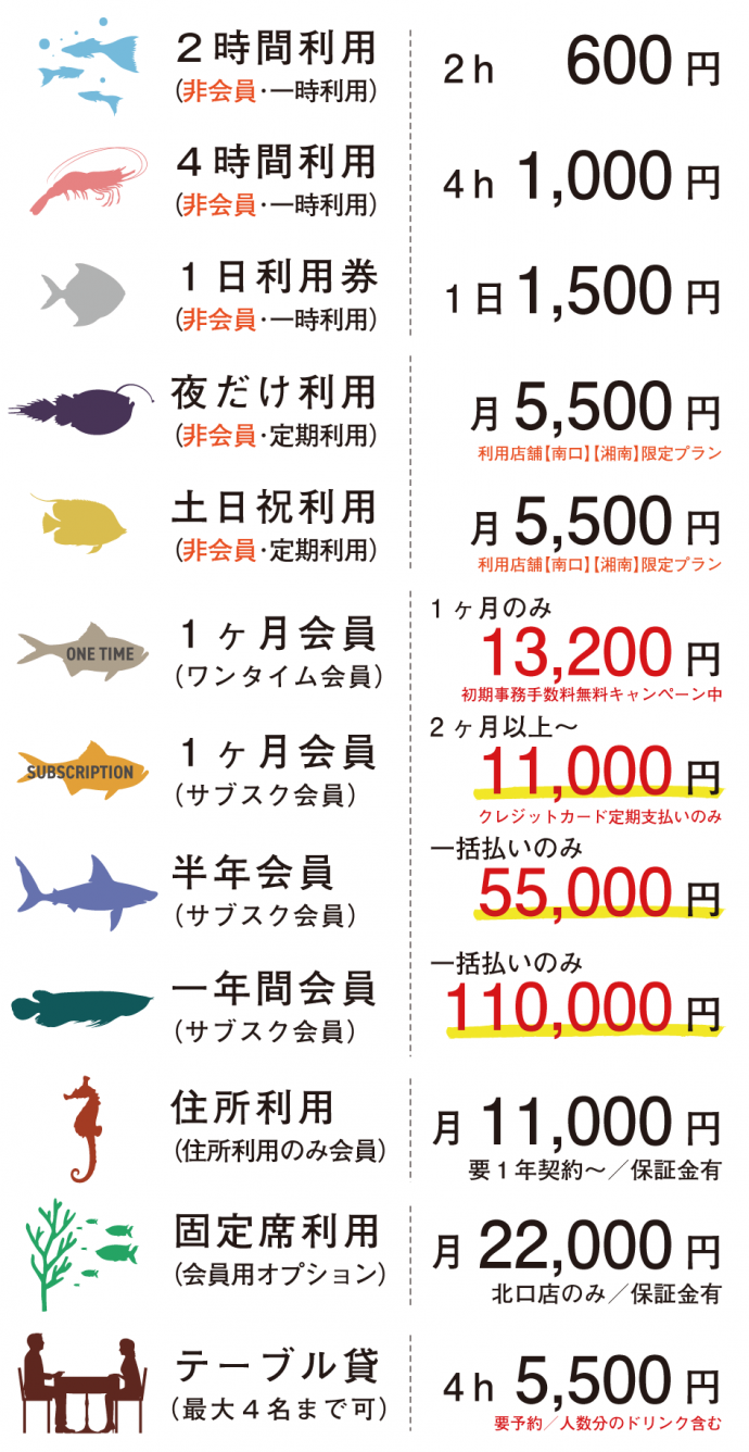 NEKTON FUJISAWA(一号店)