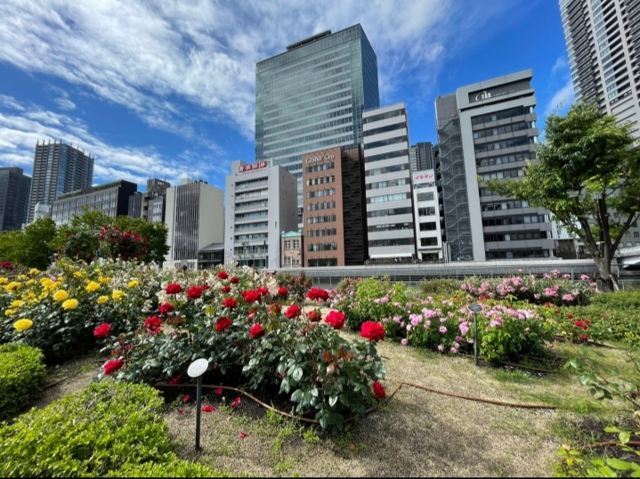 グランクリュ大阪北浜